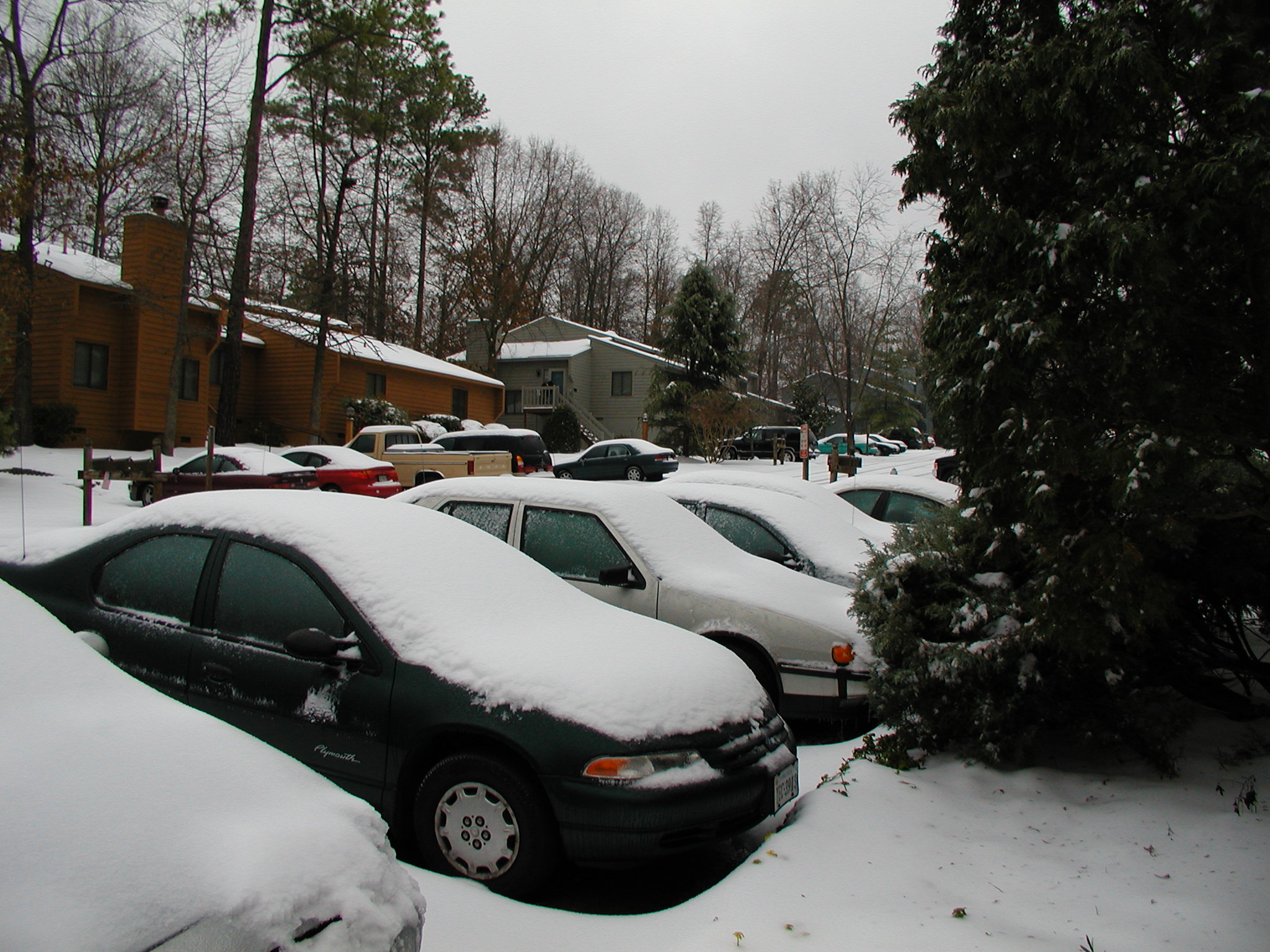 First winter snow of 2003 in Richmond.