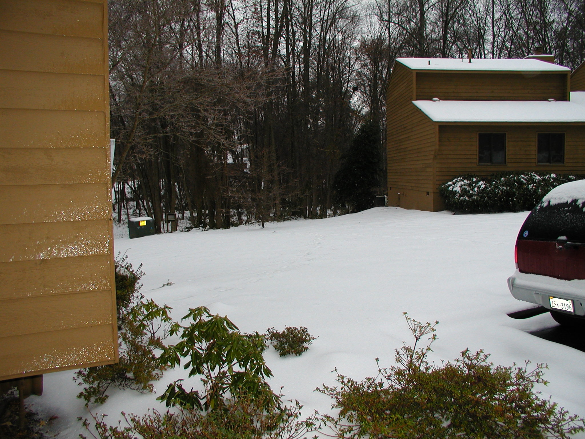 View from our house in the January 2003 first snow